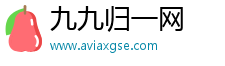 九九归一网